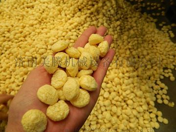 济南MT65膨化玉米粉设备制造商