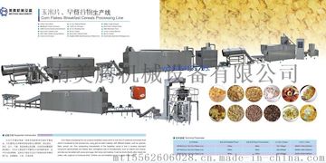 6570设备营养速食玉米片生产线羙驣设备中国造